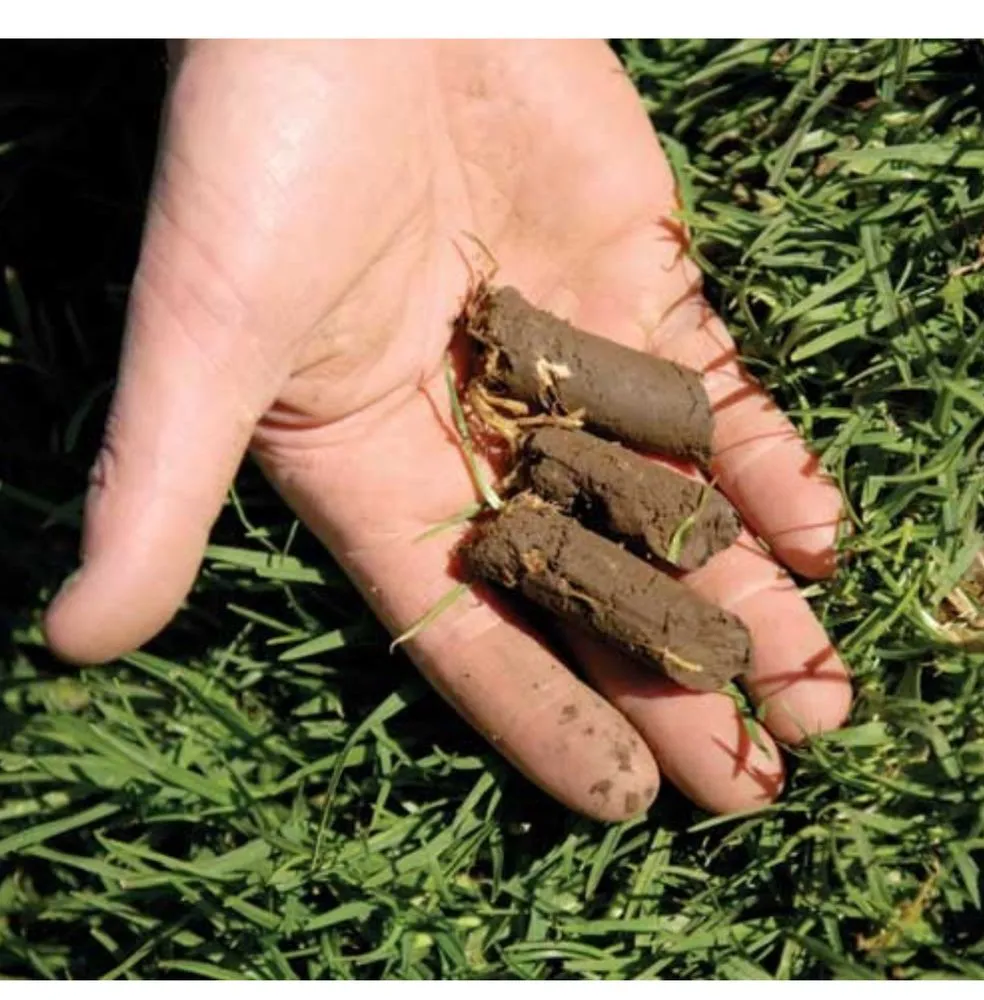 Local landscaping services with custom design across Johnstown, OH - YardCap