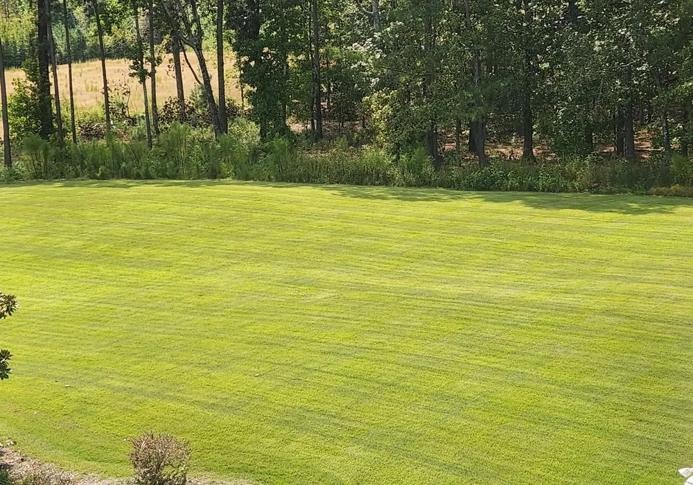 Trusted landscape design in Hamilton, GA - Yardclipz Landscaping