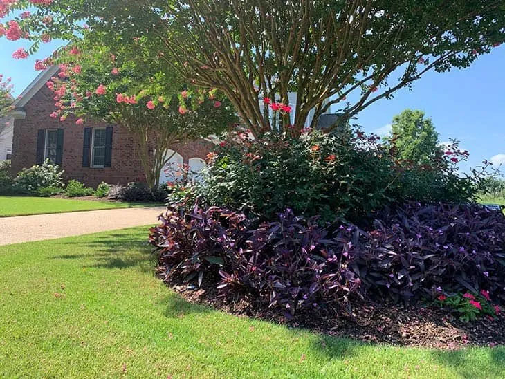 Top-rated yard cleanup service for residential properties across Hamilton, GA - Yardclipz Landscaping