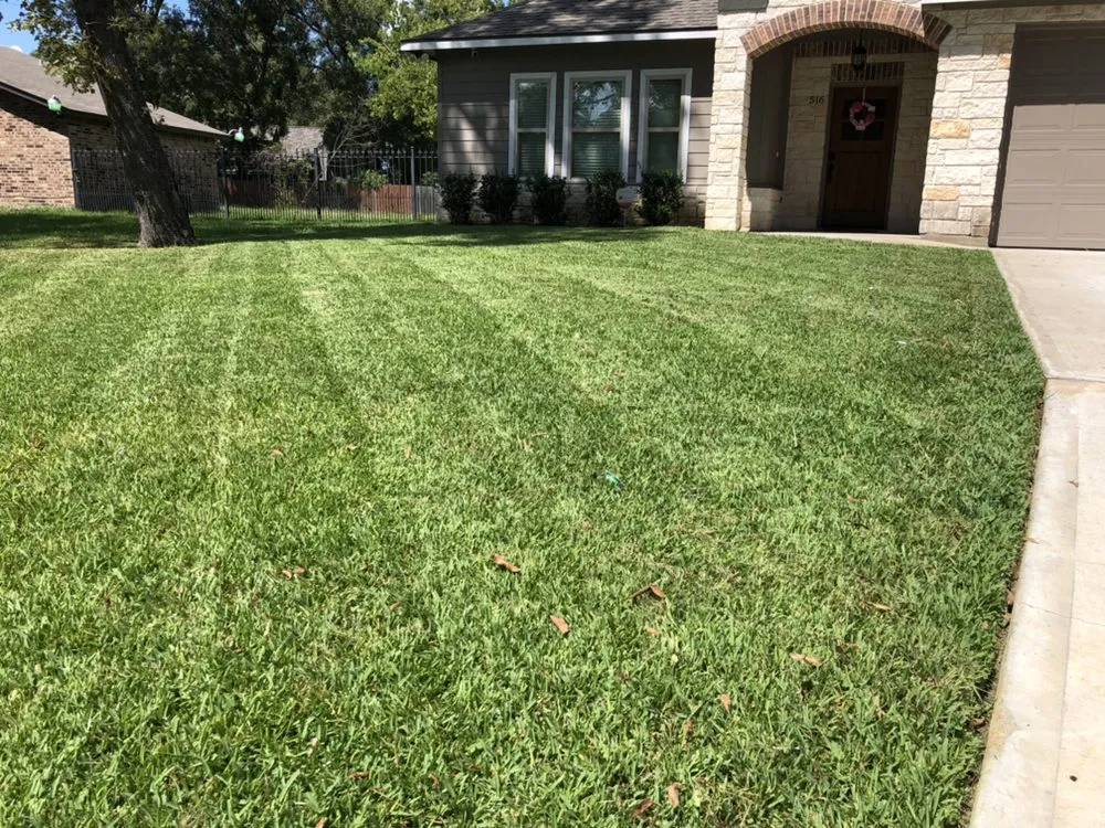 Top-rated yard cleanup service in Crosby, TX by YardDate