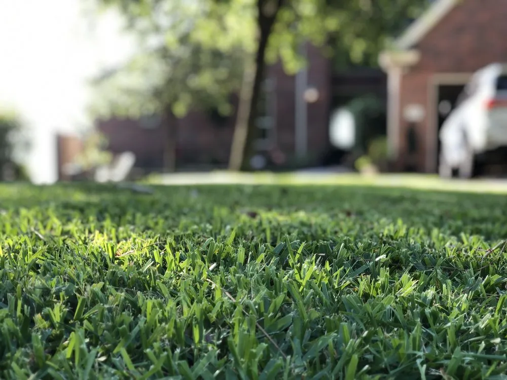 Affordable yard maintenance in Crosby, TX - YardDate