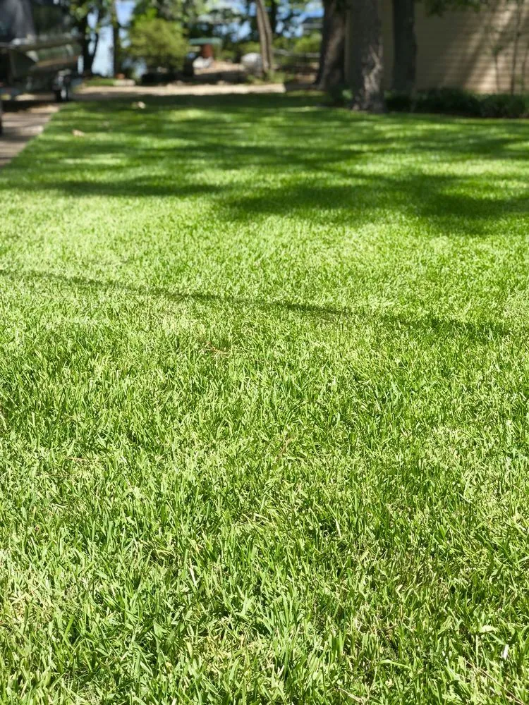 Custom landscaping services for outdoor upgrades in Crosby, TX by YardDate