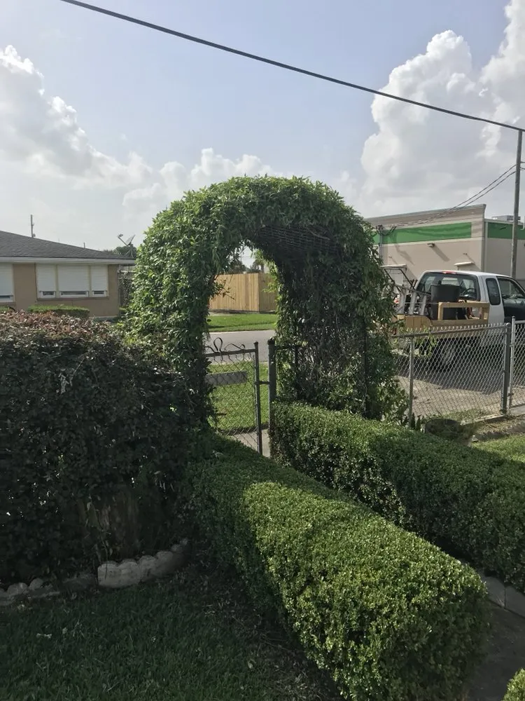 Trusted garden landscaping for outdoor upgrades in Westwego, LA by YardDawgs