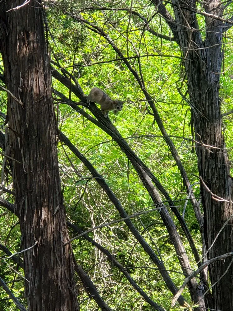 Reliable outdoor landscaping experts serving Austin, TX - YardDoc