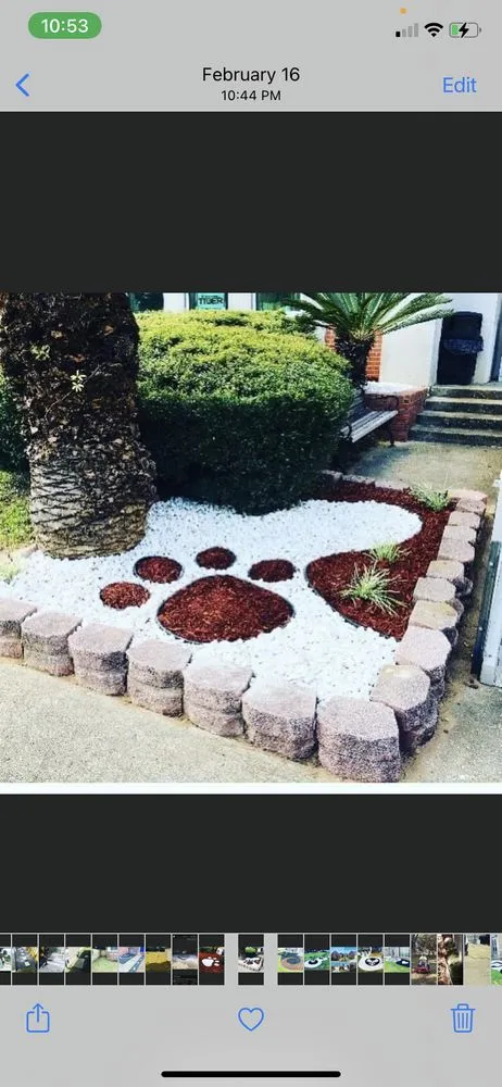 Affordable lawn care service experts serving Pensacola, FL - Yarded Out