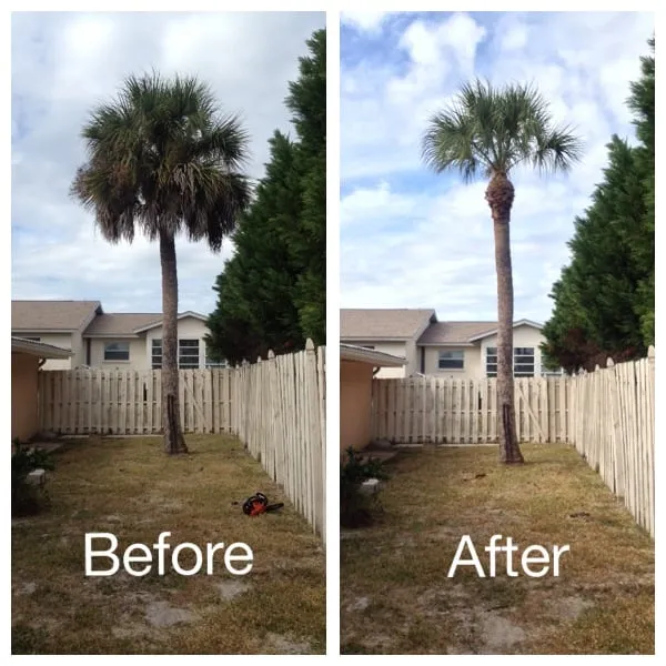 Trusted residential landscaping in Englewood, FL by Yarden Lawn Care, LLC