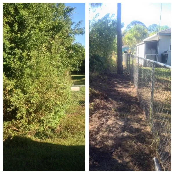 Expert yard maintenance in Englewood, FL by Yarden Lawn Care, LLC