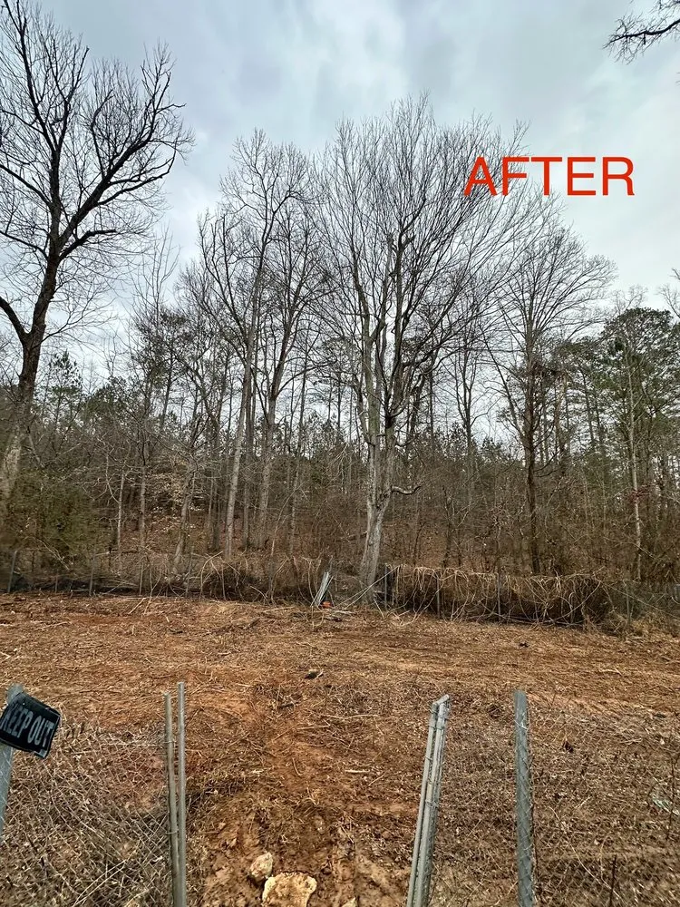 Local yard cleanup service for residential properties across Lilburn, GA - Yarden Ops