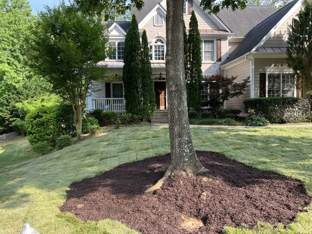 Expert yard cleanup service in Lilburn, GA by Yarden Ops