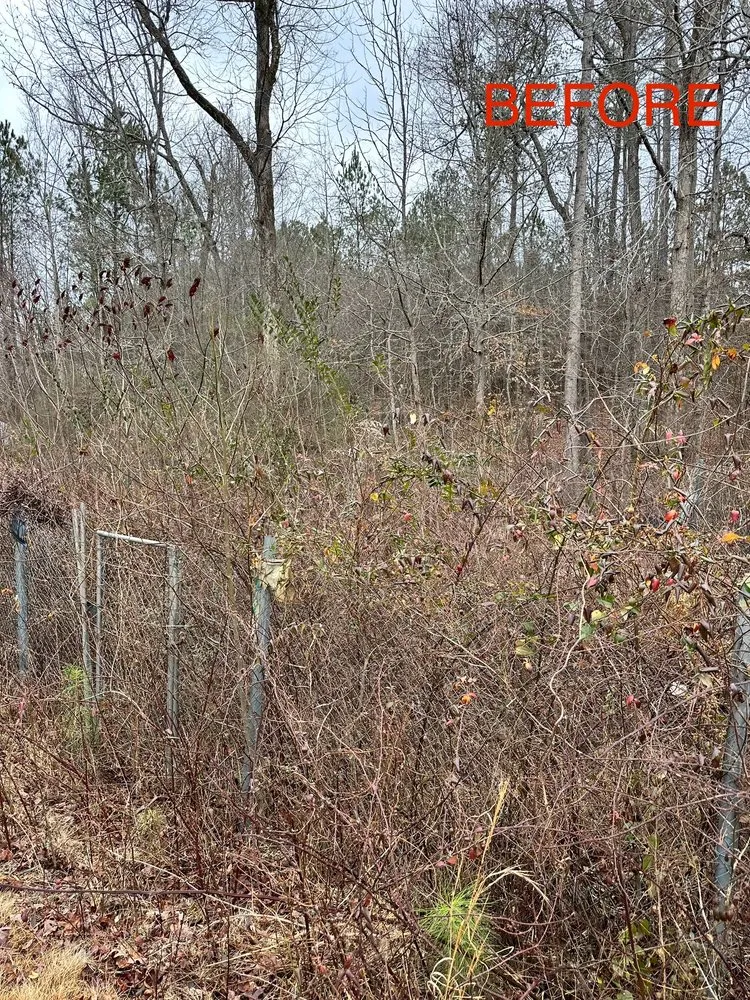 Top-rated landscaping services in Lilburn, GA - Yarden Ops