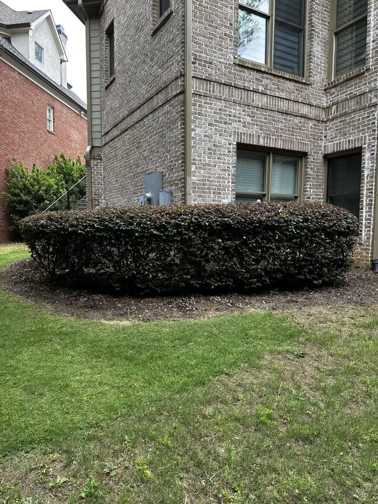 Expert yard maintenance for year-round maintenance across Lilburn, GA - Yarden Ops