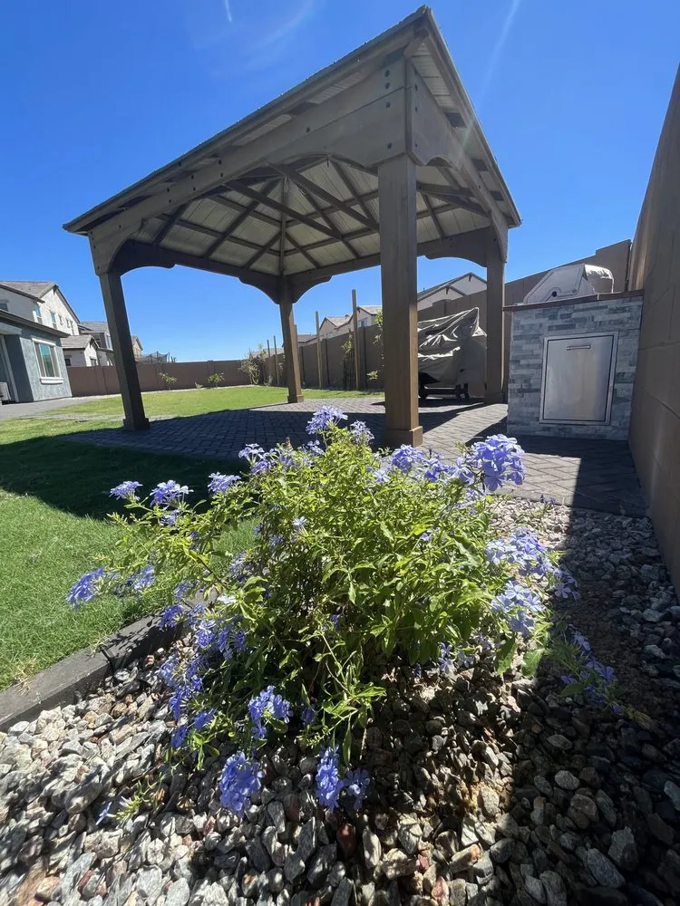 Professional landscaping services in Gilbert, AZ - YardEscape