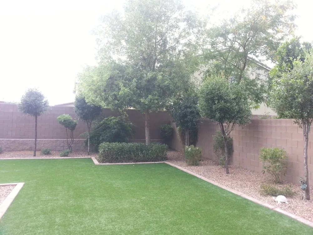 Expert yard cleanup service experts serving Surprise, AZ - Yardfellaz Landscaping LLC