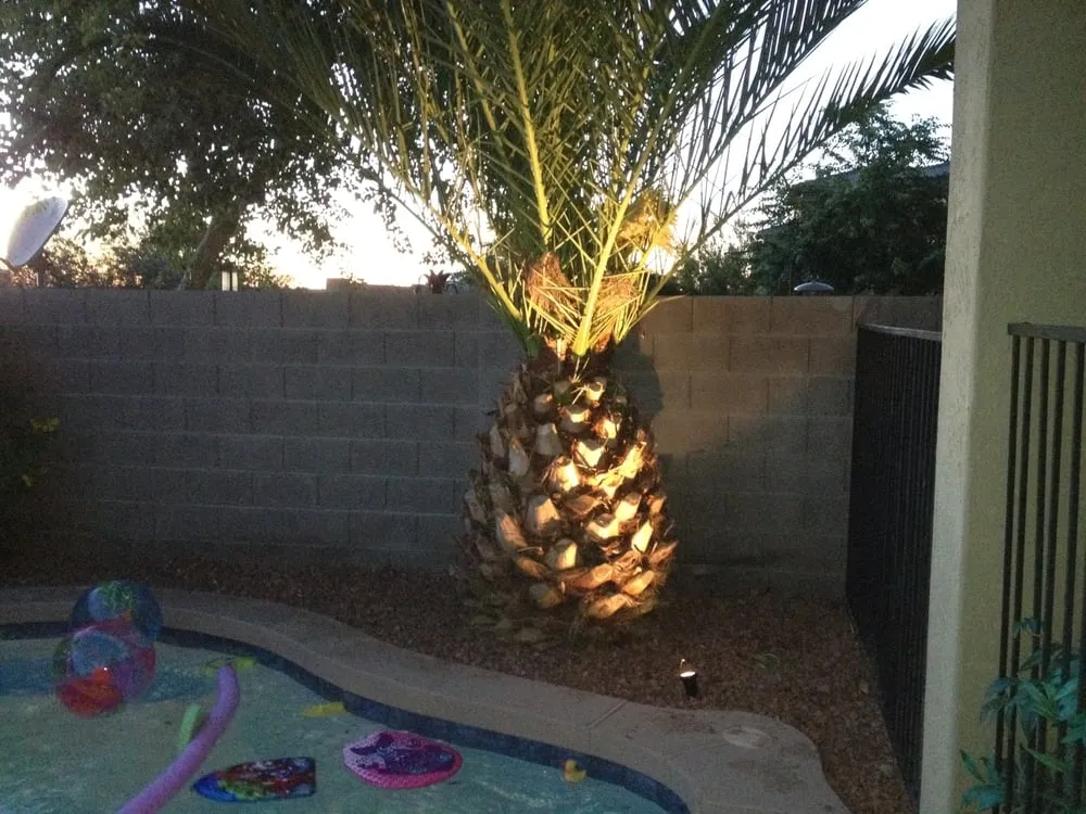 Trusted outdoor landscaping near you in Surprise, AZ by Yardfellaz Landscaping LLC