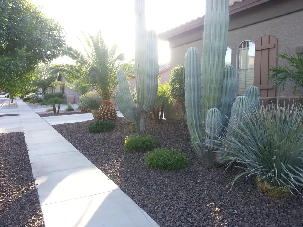 Trusted landscape design for homes in Surprise, AZ by Yardfellaz Landscaping LLC