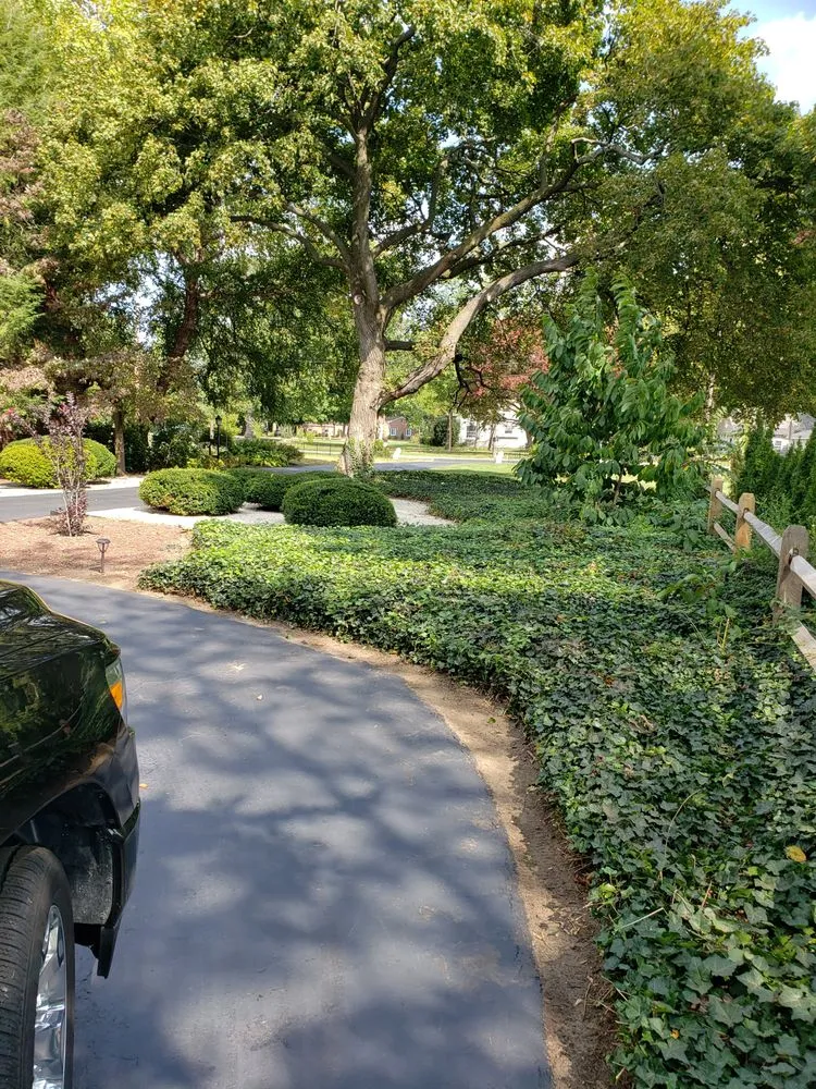 Top-rated garden landscaping experts serving Painesville, OH - YardFix