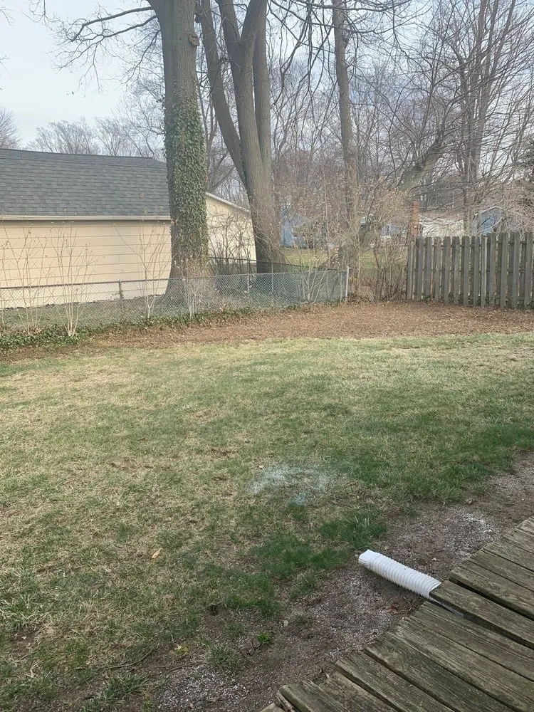 Top-rated yard cleanup service experts serving Painesville, OH - YardFix
