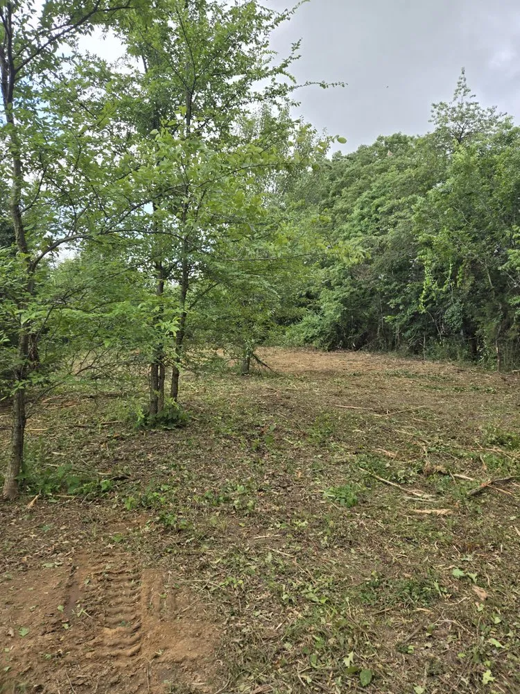 Reliable garden landscaping in Miami, OK - YardFox LawnCare