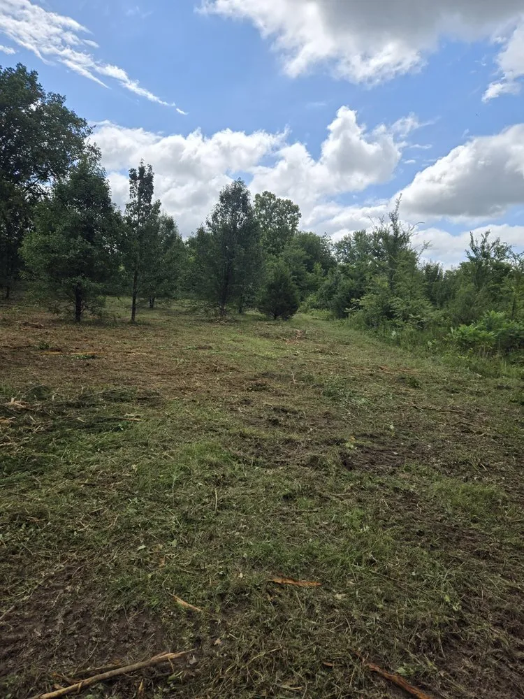 Local lawn care service for beautiful yards across Miami, OK - YardFox LawnCare