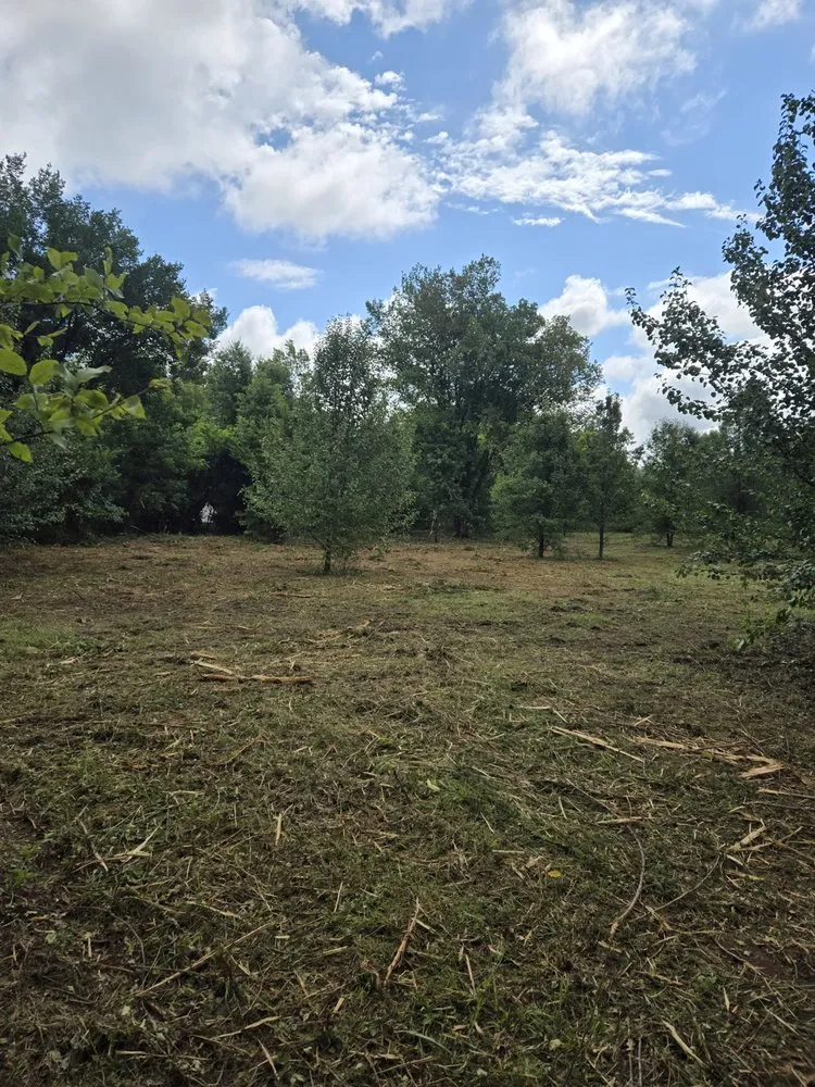 Top-rated lawn care service in Miami, OK - YardFox LawnCare