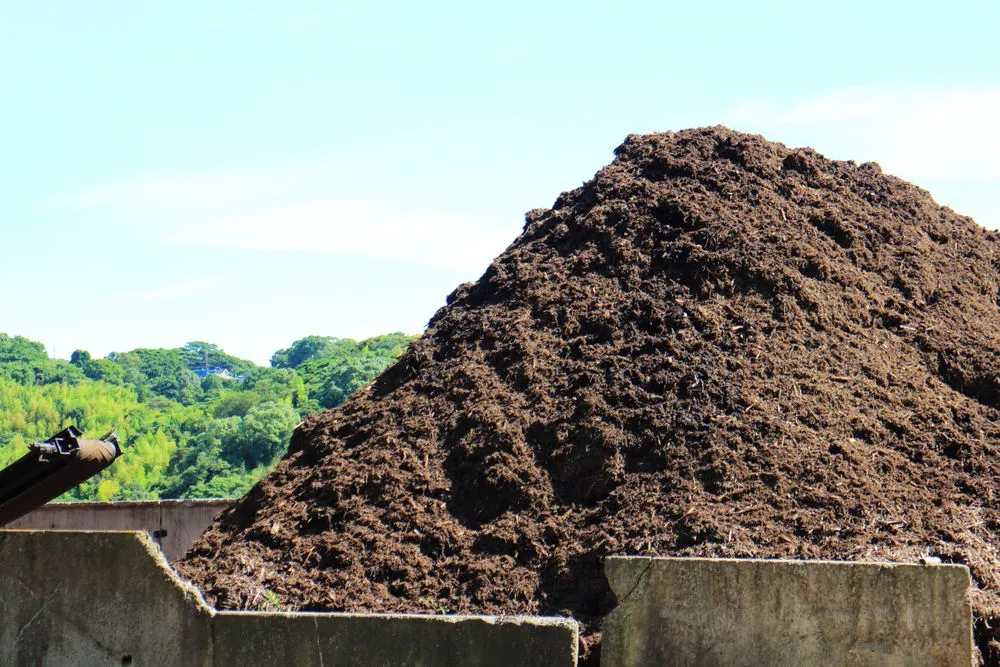 Trusted landscaping services in Liberty Hill, TX by Yardful Lawn Services