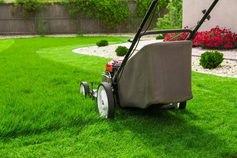 Reliable garden landscaping in Liberty Hill, TX - Yardful Lawn Services