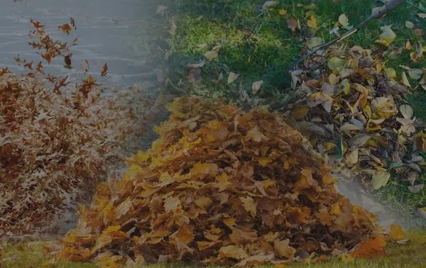 Yardguard Leaf Removal