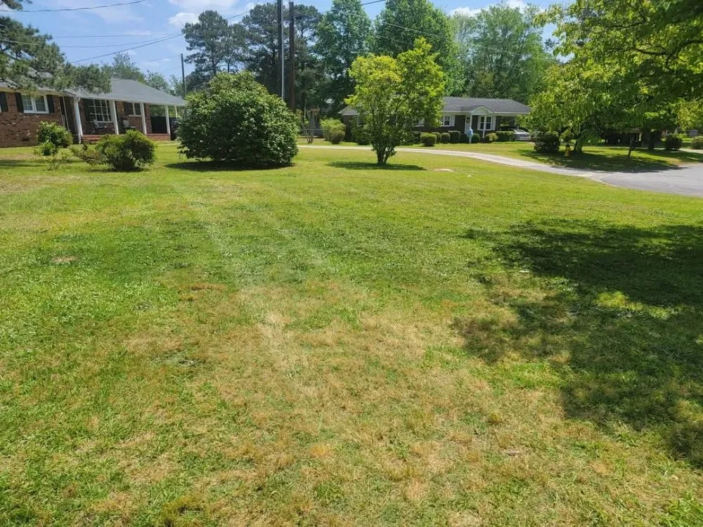 Reliable landscaping services for residential properties in Fayetteville, NC by Yardicures