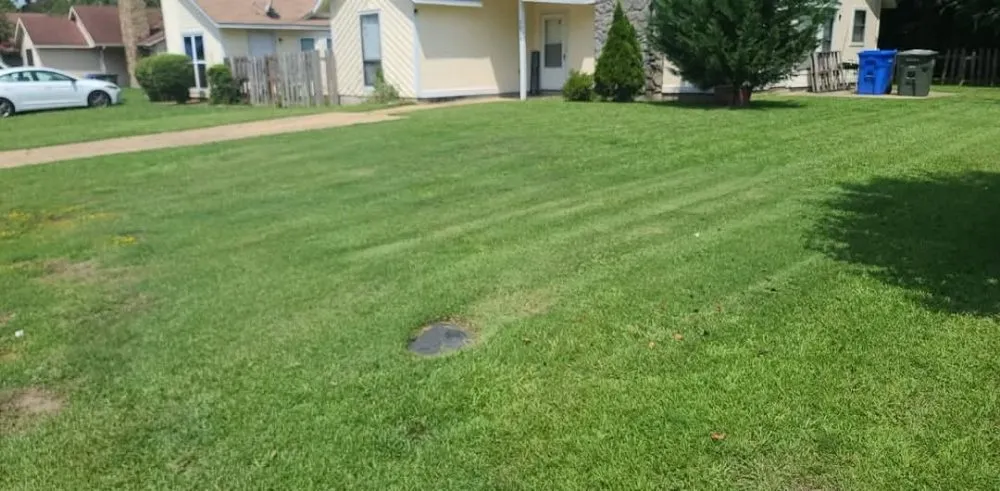 Professional landscape design in Fayetteville, NC by Yardicures