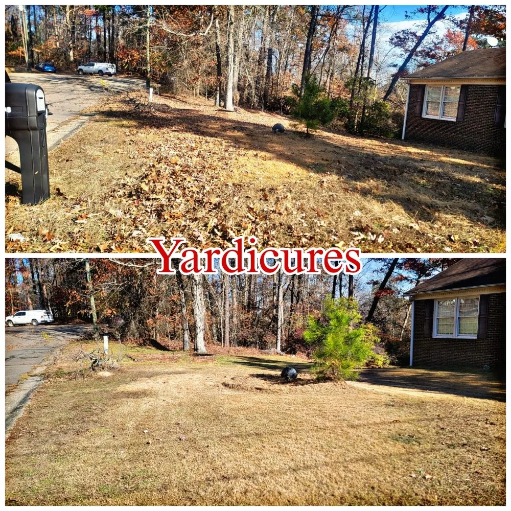 Expert outdoor landscaping for outdoor upgrades across Fayetteville, NC - Yardicures