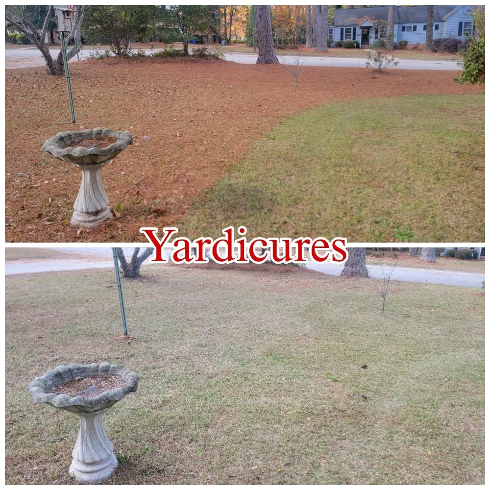 Affordable yard cleanup service in Fayetteville, NC by Yardicures