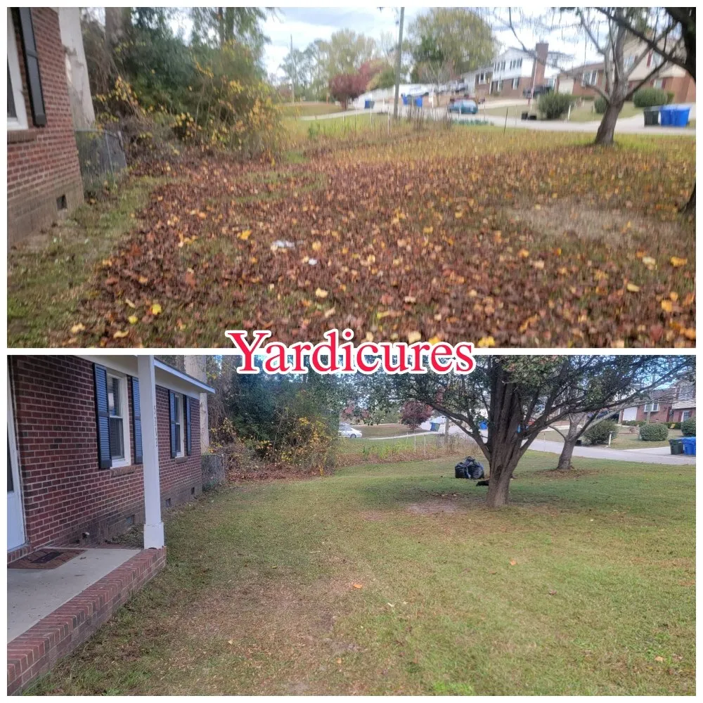 Trusted landscape installation in Fayetteville, NC - Yardicures