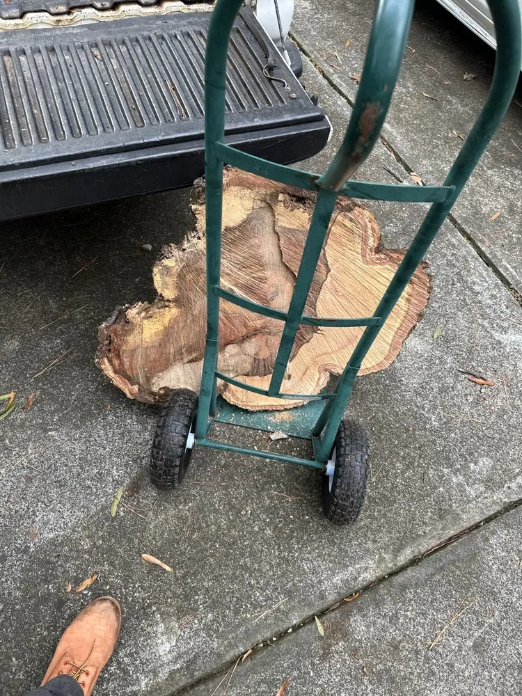 Expert landscape installation for residential properties across Durham, NC - Yardie Boyzz