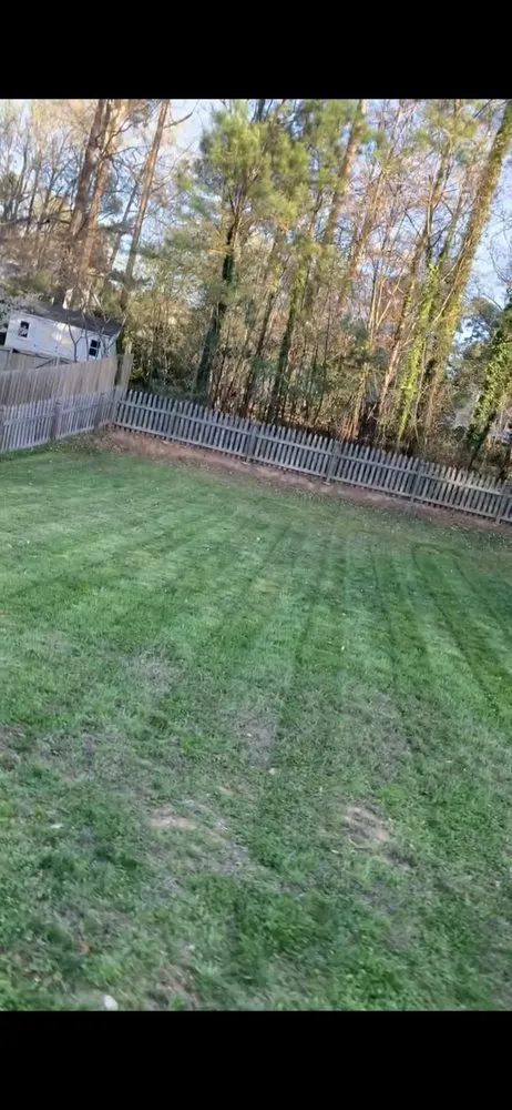 Local landscape design for beautiful yards across Durham, NC - Yardie Boyzz
