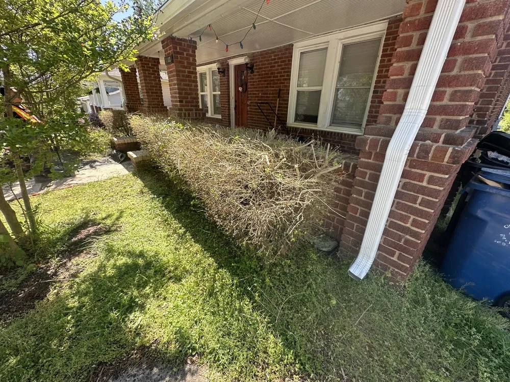 Trusted landscaping services in Durham, NC by Yardie Boyzz