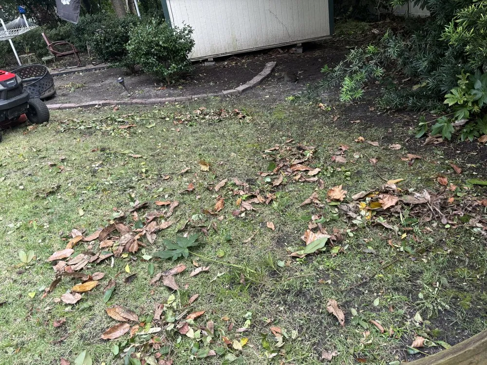 Expert landscape design experts serving Myrtle Beach, SC - Yardie Care Plus