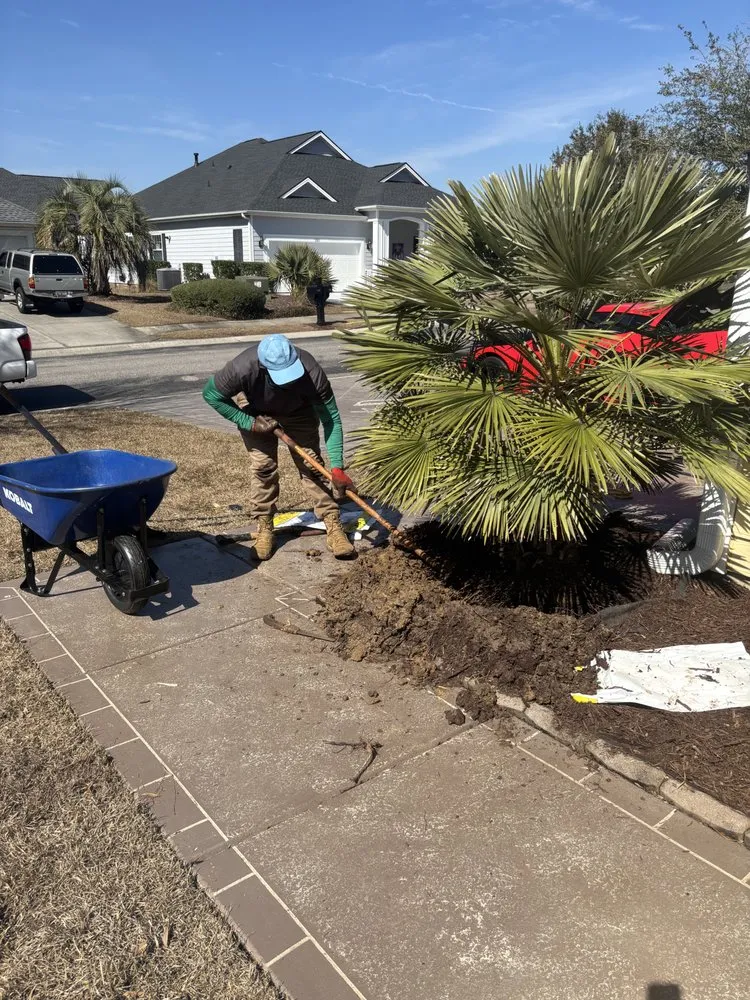 Custom lawn care service in Myrtle Beach, SC - Yardie Care Plus