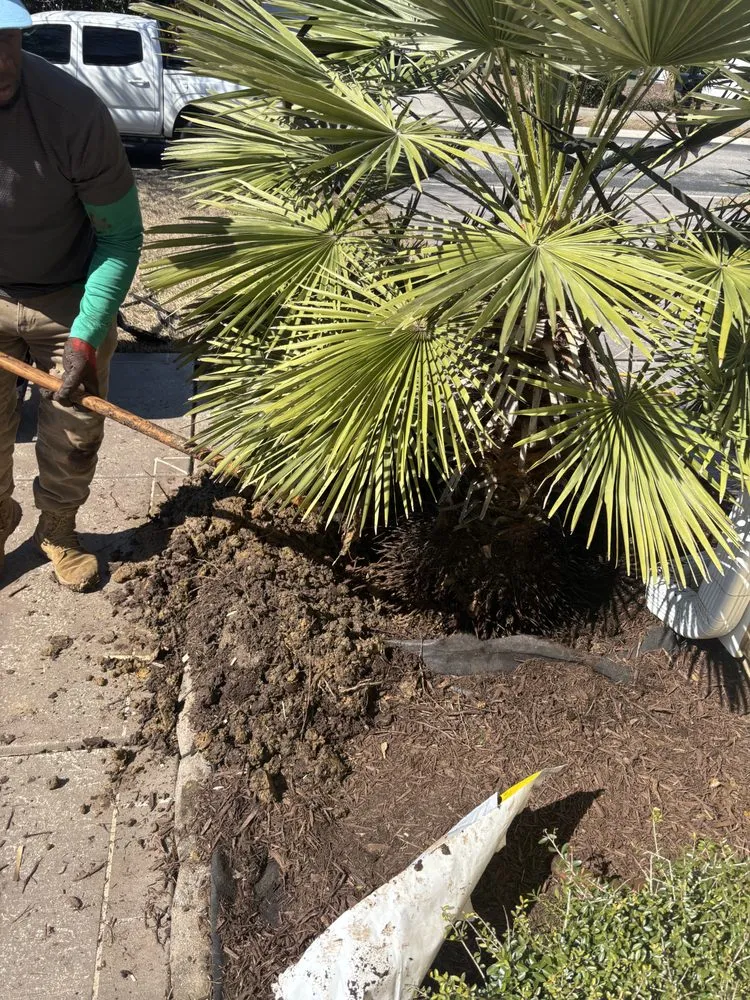 Reliable landscape installation experts serving Myrtle Beach, SC - Yardie Care Plus