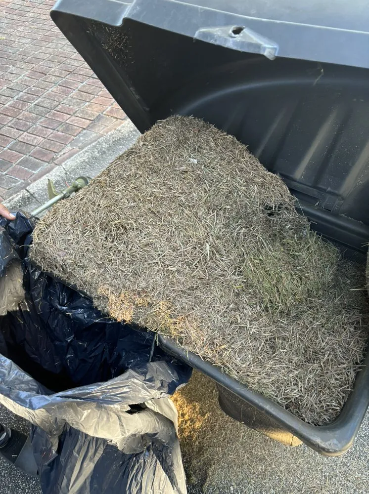 Custom yard cleanup service in Myrtle Beach, SC by Yardie Care Plus
