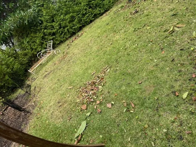 Top-rated landscaping services in Myrtle Beach, SC - Yardie Care Plus