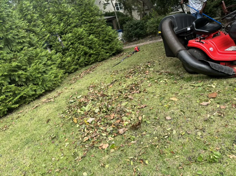 Expert yard cleanup service in Myrtle Beach, SC by Yardie Care Plus