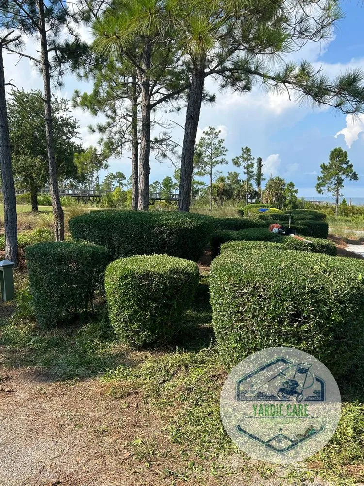 Custom yard cleanup service for homes in Myrtle Beach, SC by Yardie Care Plus