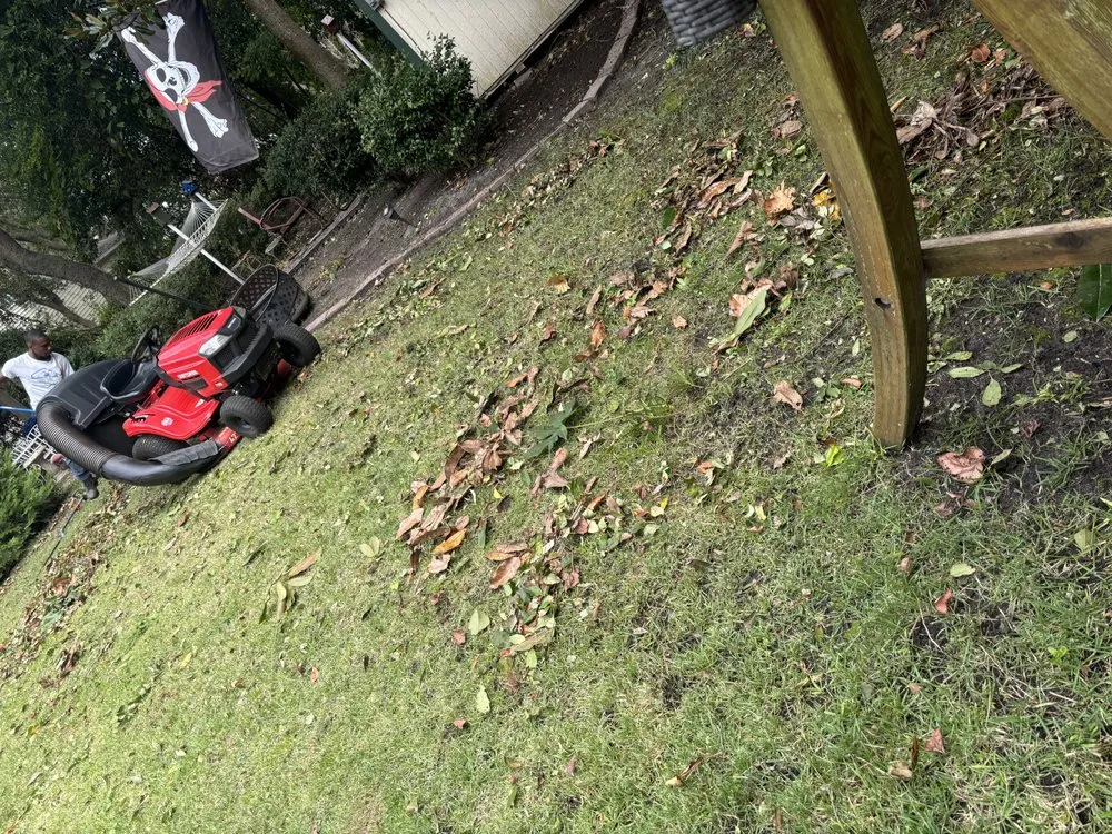 Expert yard maintenance for beautiful yards in Myrtle Beach, SC by Yardie Care Plus