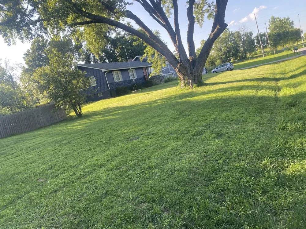Custom yard cleanup service experts serving Kansas, MO - Yardie Men’s