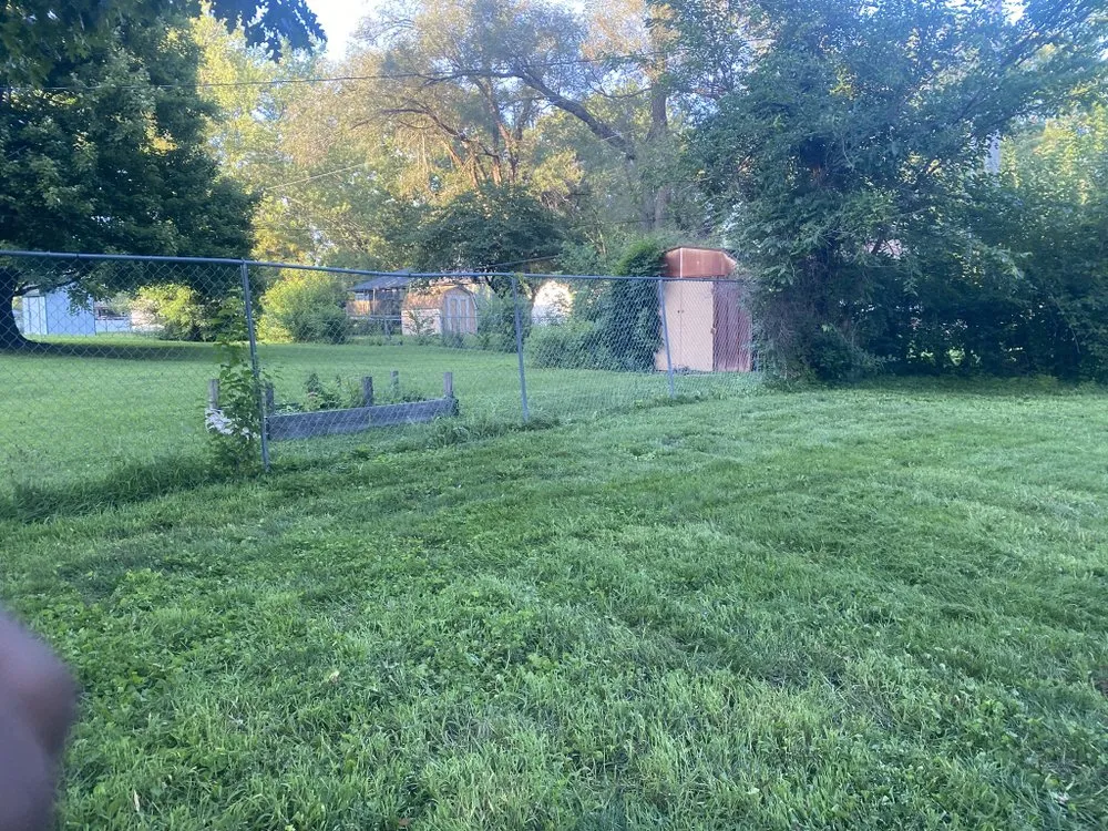 Affordable yard cleanup service for residential properties across Kansas, MO - Yardie Men’s