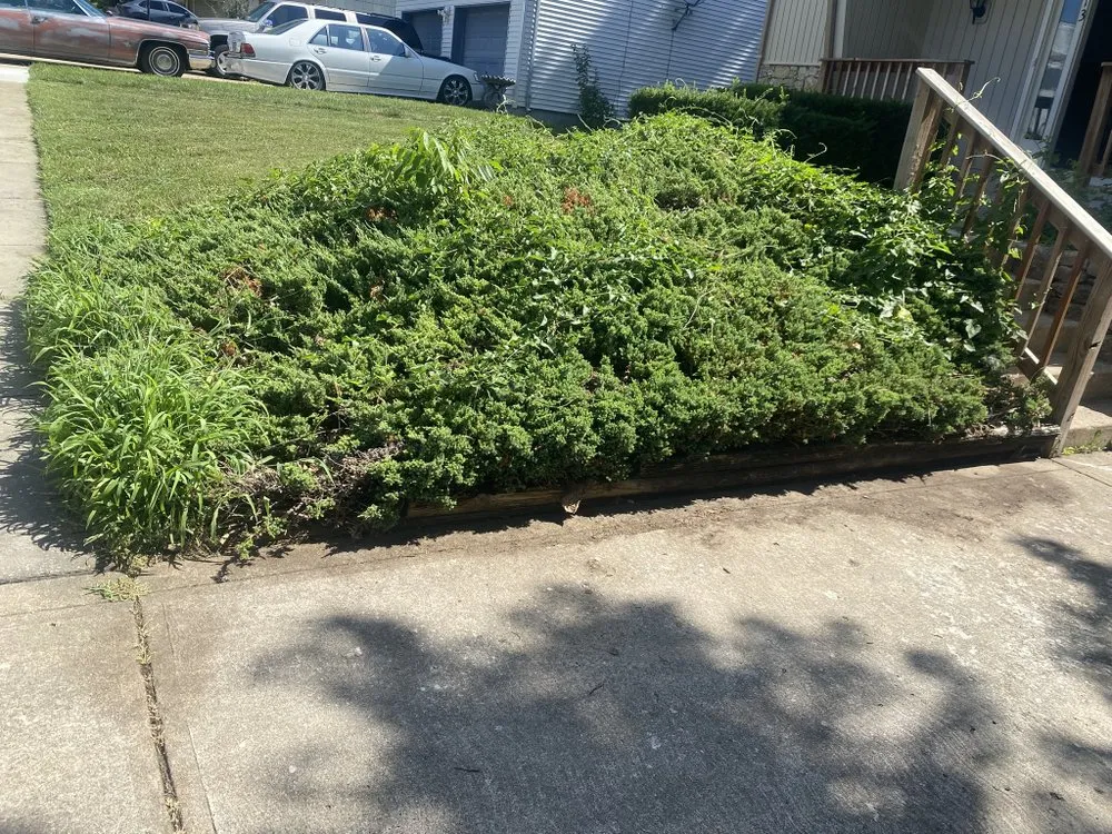 Trusted garden landscaping experts serving Kansas, MO - Yardie Men’s