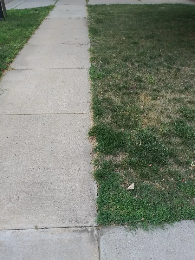 Affordable landscaping services for residential properties across Sioux Falls, SD - YardKutz