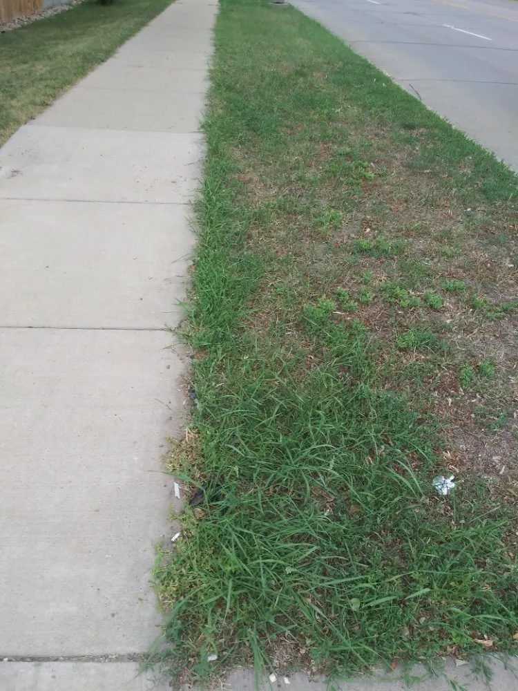 Custom landscape installation for residential properties across Sioux Falls, SD - YardKutz