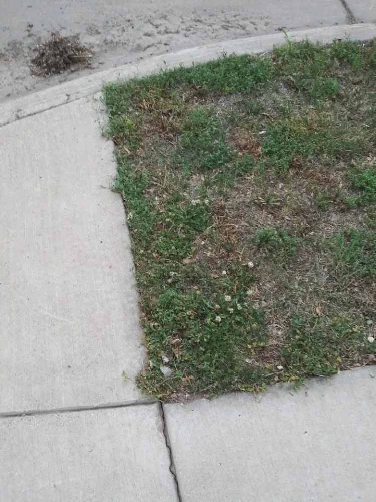 Reliable yard cleanup service experts serving Sioux Falls, SD - YardKutz