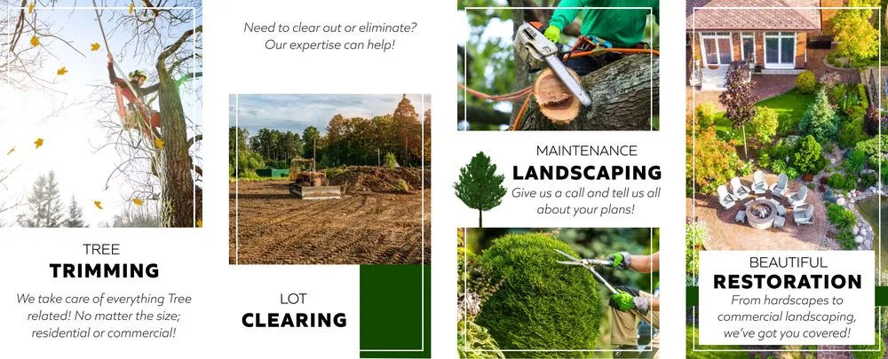 Reliable yard cleanup service in Cedar City, UT by Yardley Tree Service